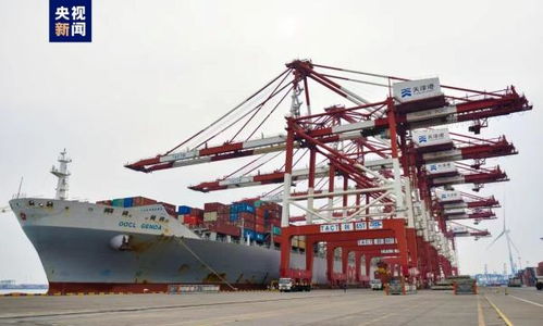 首票雄安自貿試驗區進口海運貨物在天津港順利接卸，推動港口貨物裝卸搬運活動高效發展