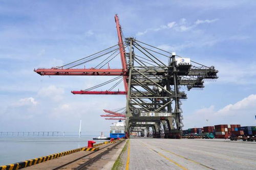 廈門港新航線開通，14小時直達提升貨物裝卸搬運效率