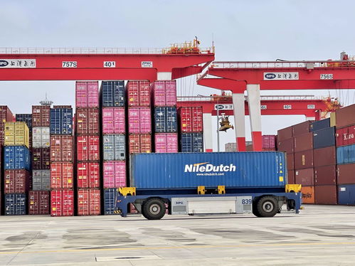 日均吞吐量保持10萬標準箱以上 解密洋山港如何高效組織港口裝卸搬運活動